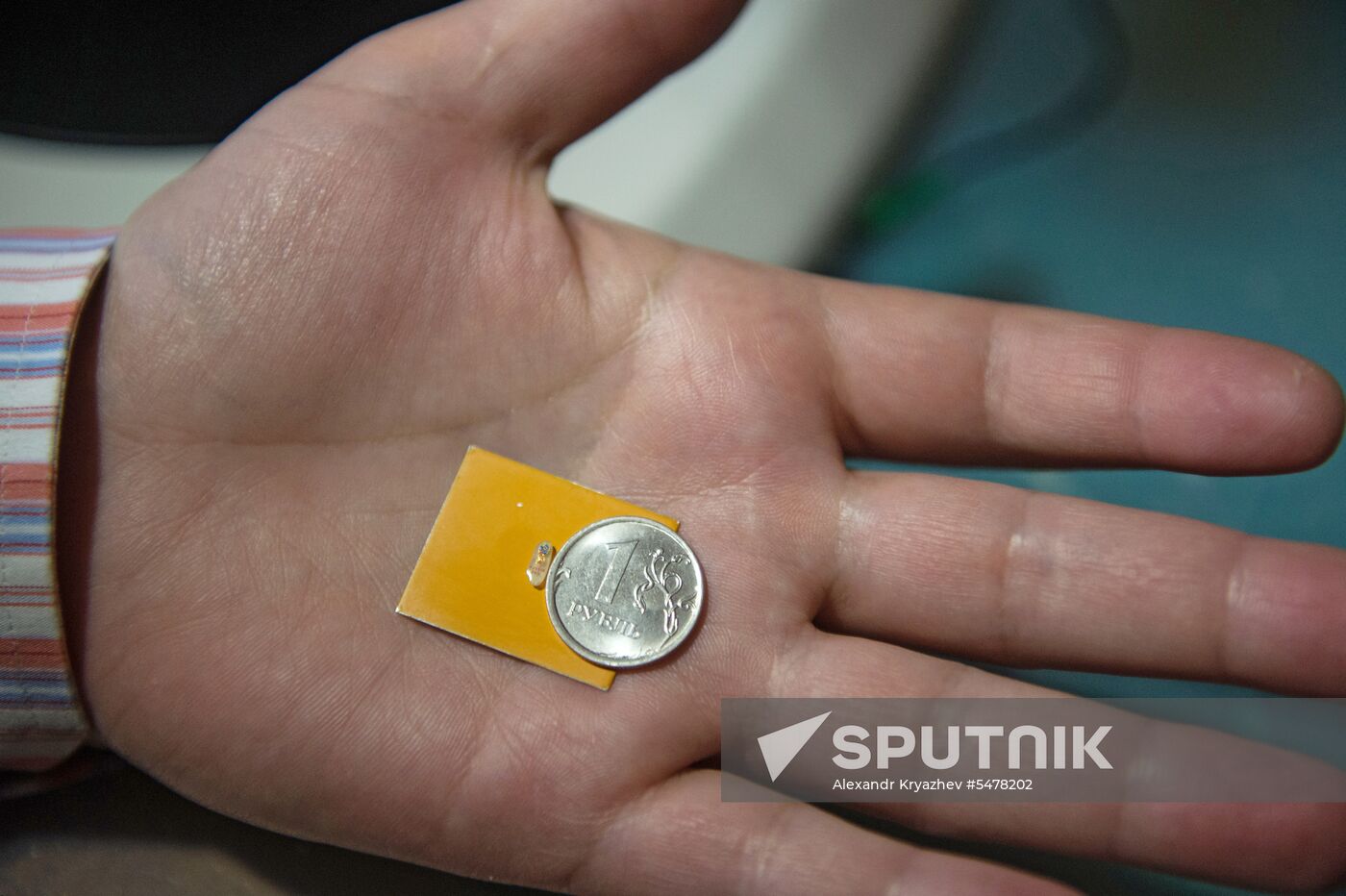 Novosibirsk master makes millimeter-and-a-half replica of 2018 FIFA World Cup mascot