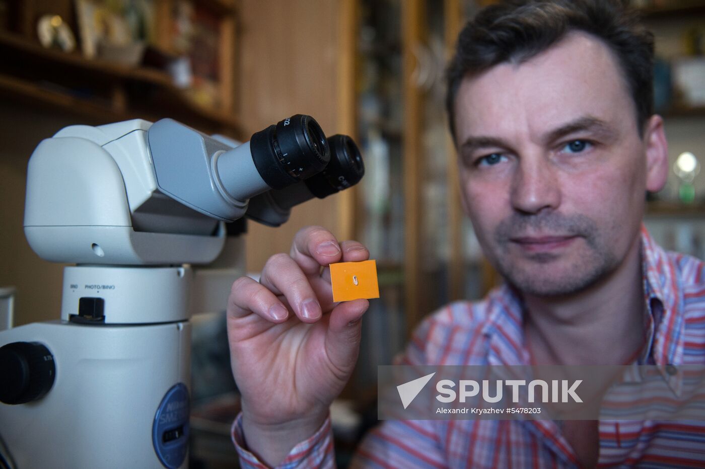 Novosibirsk master makes millimeter-and-a-half replica of 2018 FIFA World Cup mascot