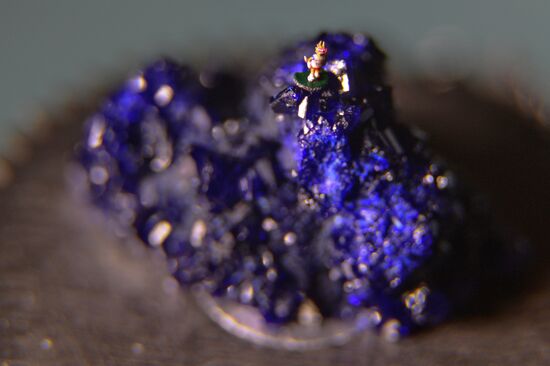 Novosibirsk master makes millimeter-and-a-half replica of 2018 FIFA World Cup mascot