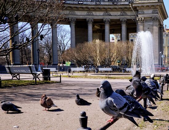 Fountain season opens in St. Petersburg