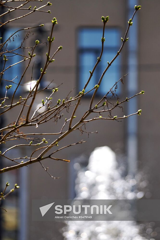Fountain season opens in St. Petersburg