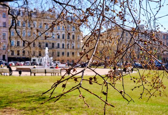 Fountain season opens in St. Petersburg