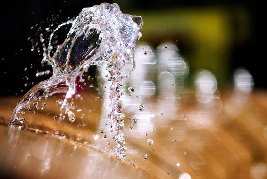 Fountain season opens in St. Petersburg