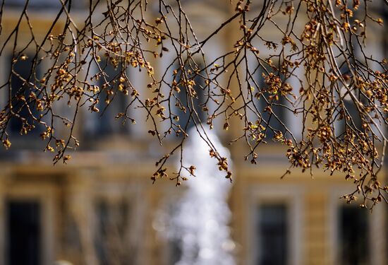 Fountain season opens in St. Petersburg