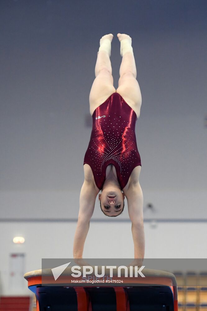 Aliya Mustafina returns to gymnastics