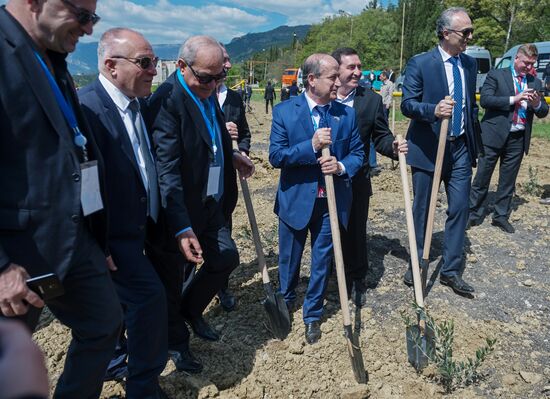 Russian-Syrian Friendship Olive Alley planted in Yalta