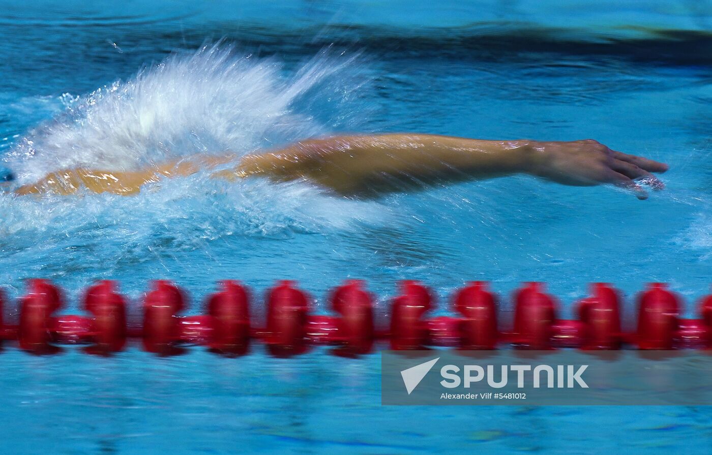 Swimming. Russian championships. Day two