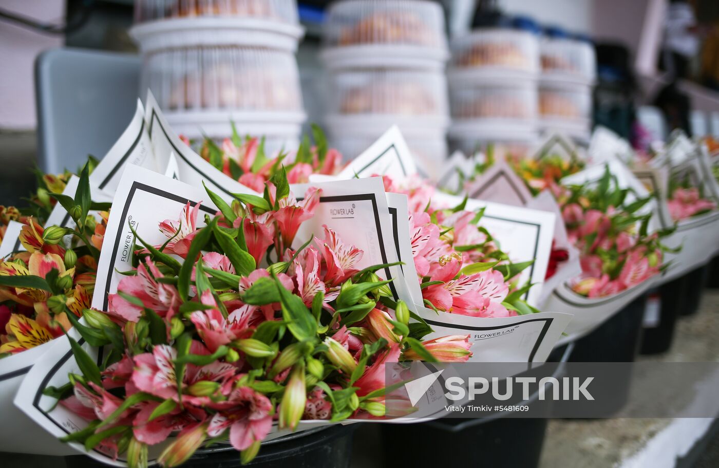 Racing season opens in Krasnodar