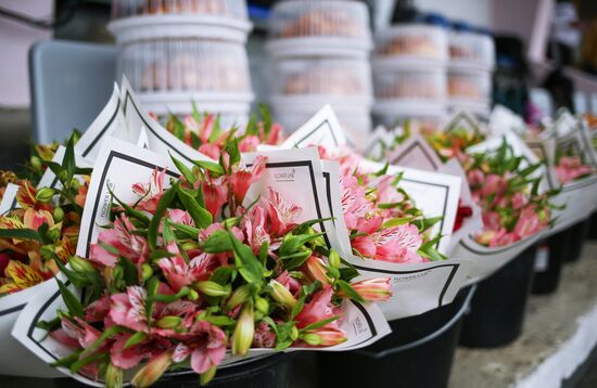 Racing season opens in Krasnodar