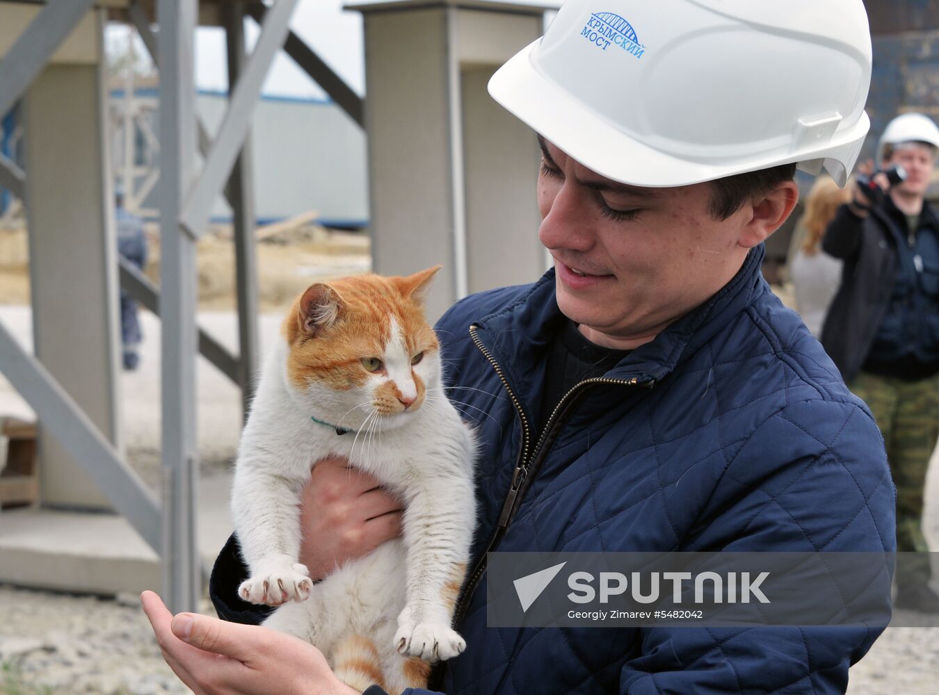 Mostik the Cat