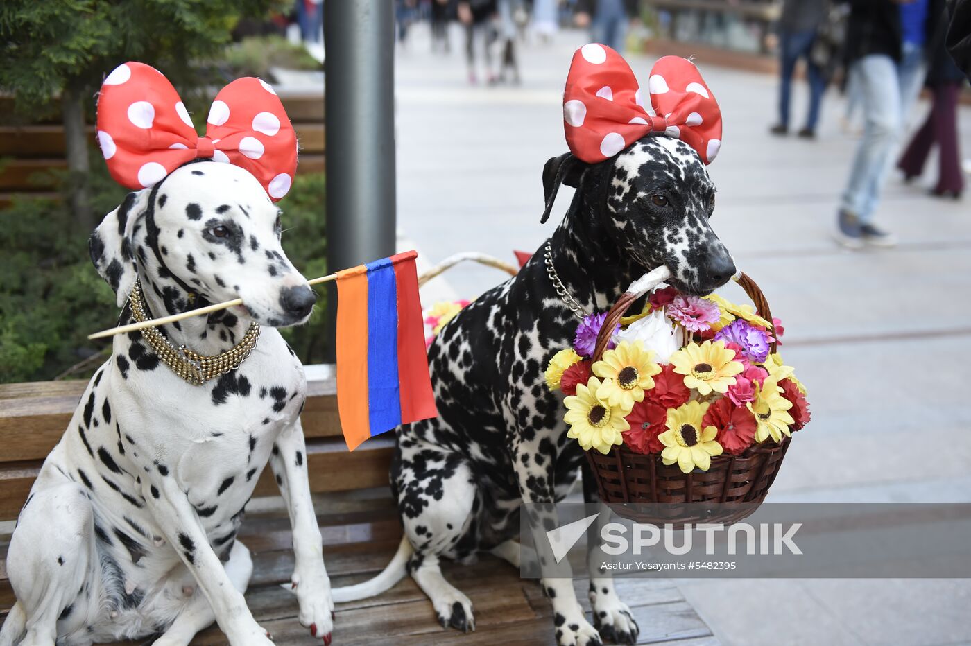 Rally in Yerevan due to Serzh Sargsyan's resignation