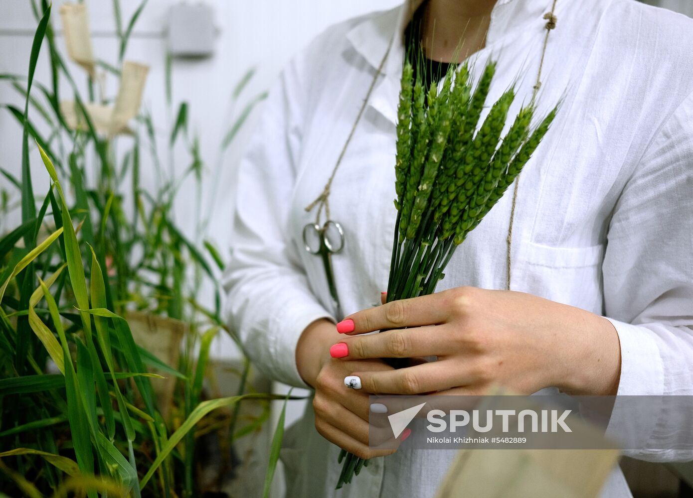 Lukyanenko National Grain Center in Krasnodar