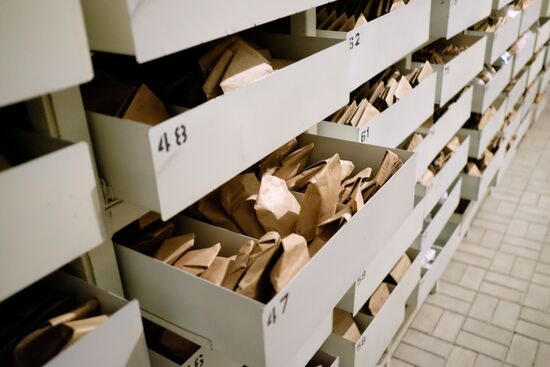 Lukyanenko National Grain Center in Krasnodar