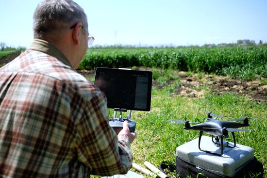 Lukyanenko National Grain Center in Krasnodar
