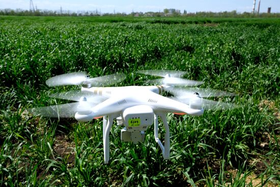 Lukyanenko National Grain Center in Krasnodar