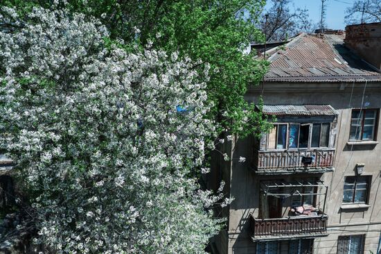 Cities of Russia. Kerch