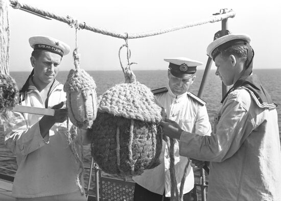 Destroyer Naporistiy