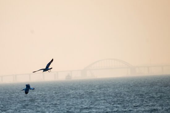 Construction of Kerch Strait (Crimean) Bridge