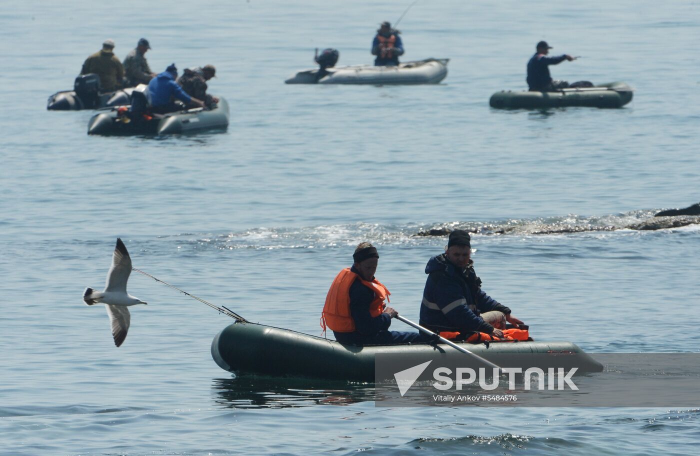 Walleye pollock fishing in Primorye