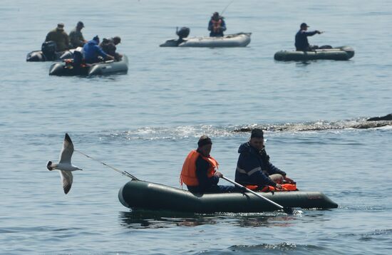 Walleye pollock fishing in Primorye