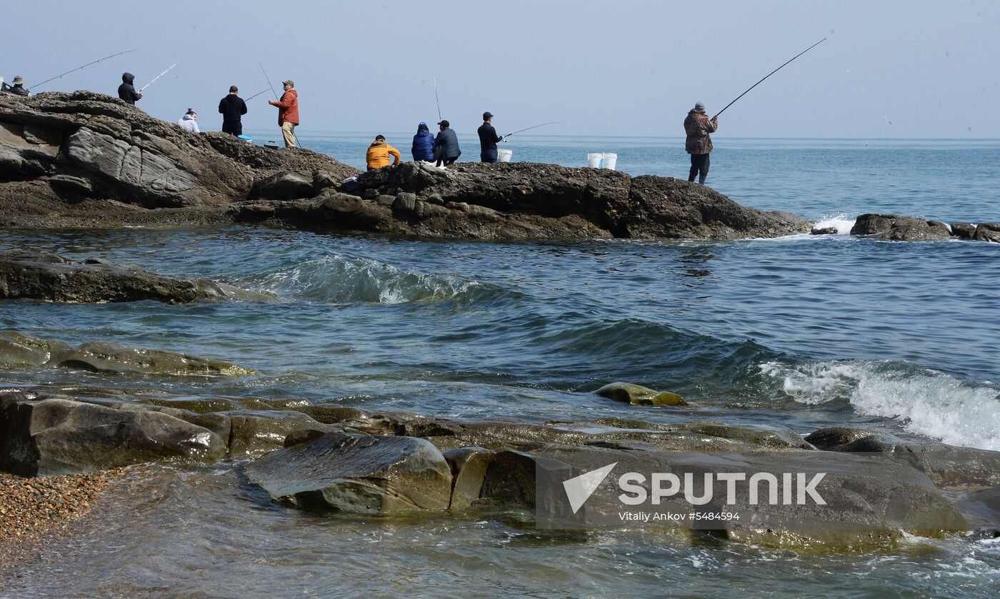 Walleye pollock fishing in Primorye