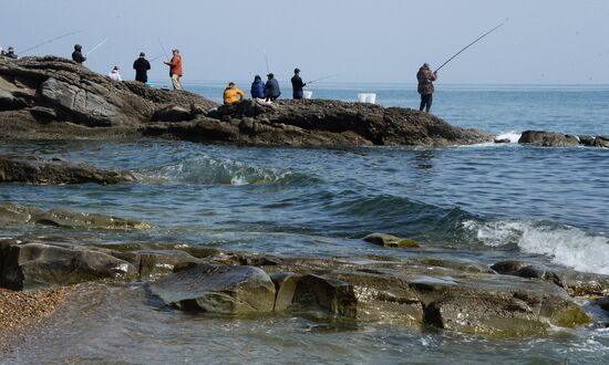 Walleye pollock fishing in Primorye