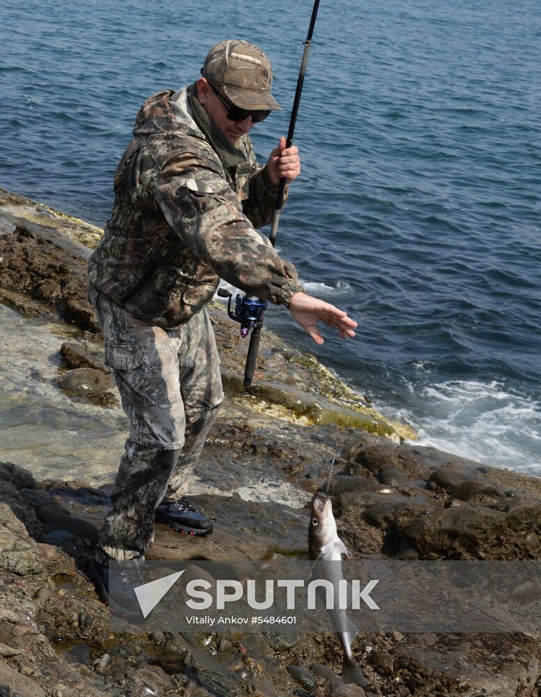 Walleye pollock fishing in Primorye