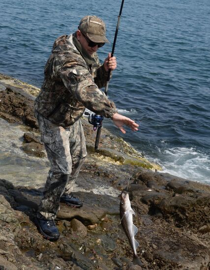 Walleye pollock fishing in Primorye