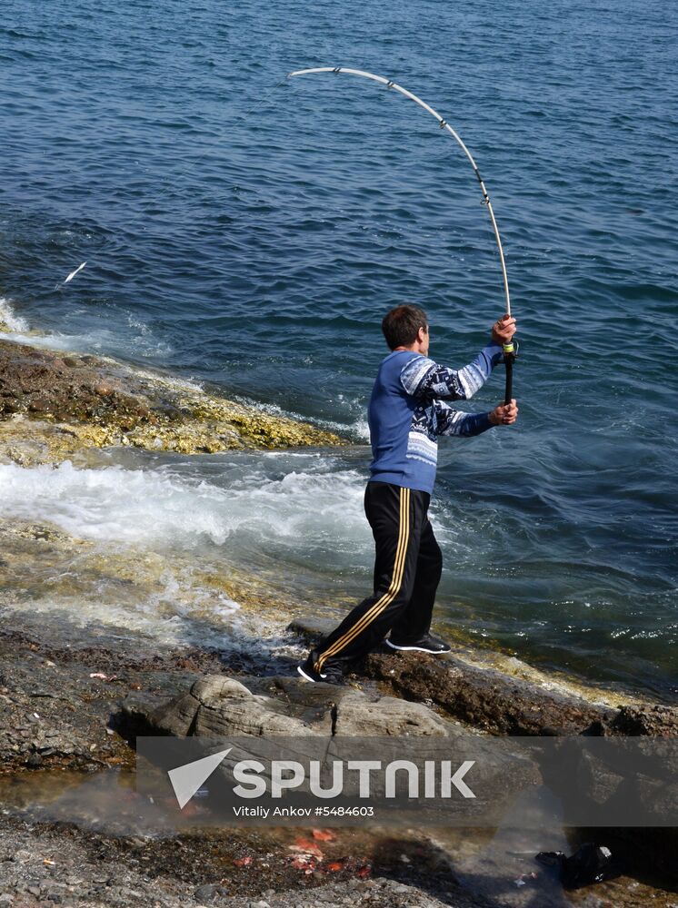 Walleye pollock fishing in Primorye