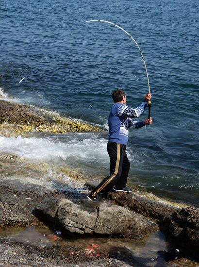 Walleye pollock fishing in Primorye