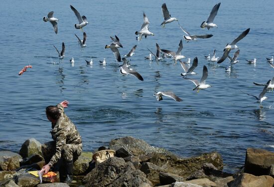Walleye pollock fishing in Primorye