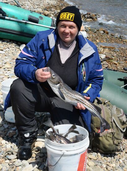 Walleye pollock fishing in Primorye
