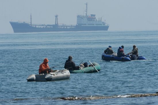 Walleye pollock fishing in Primorye