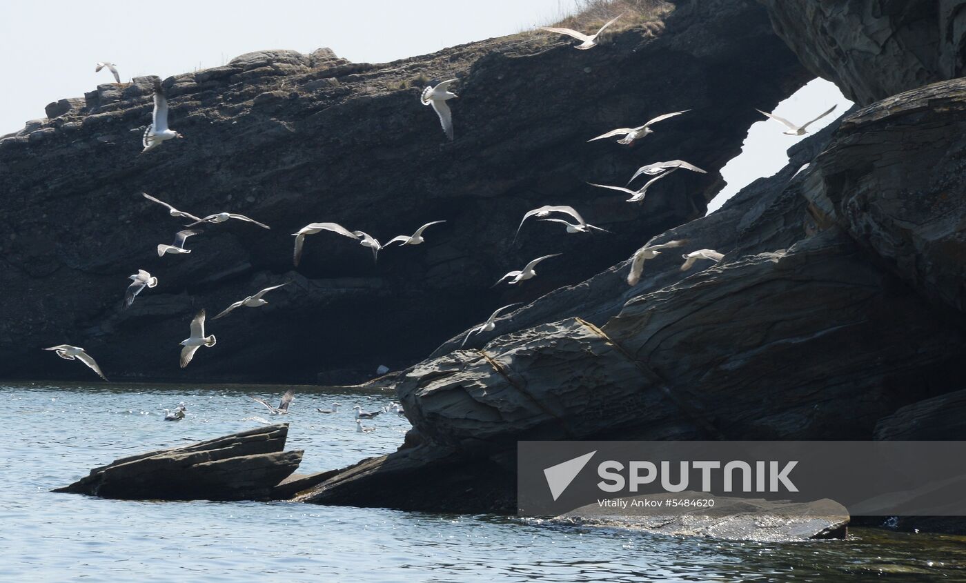 Walleye pollock fishing in Primorye