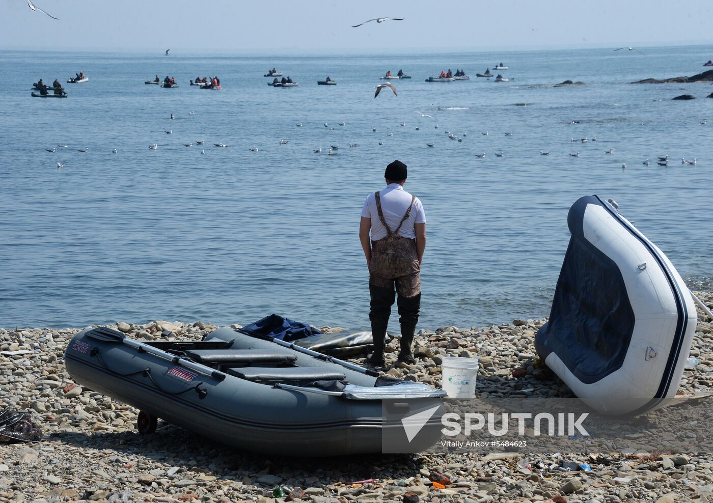 Walleye pollock fishing in Primorye