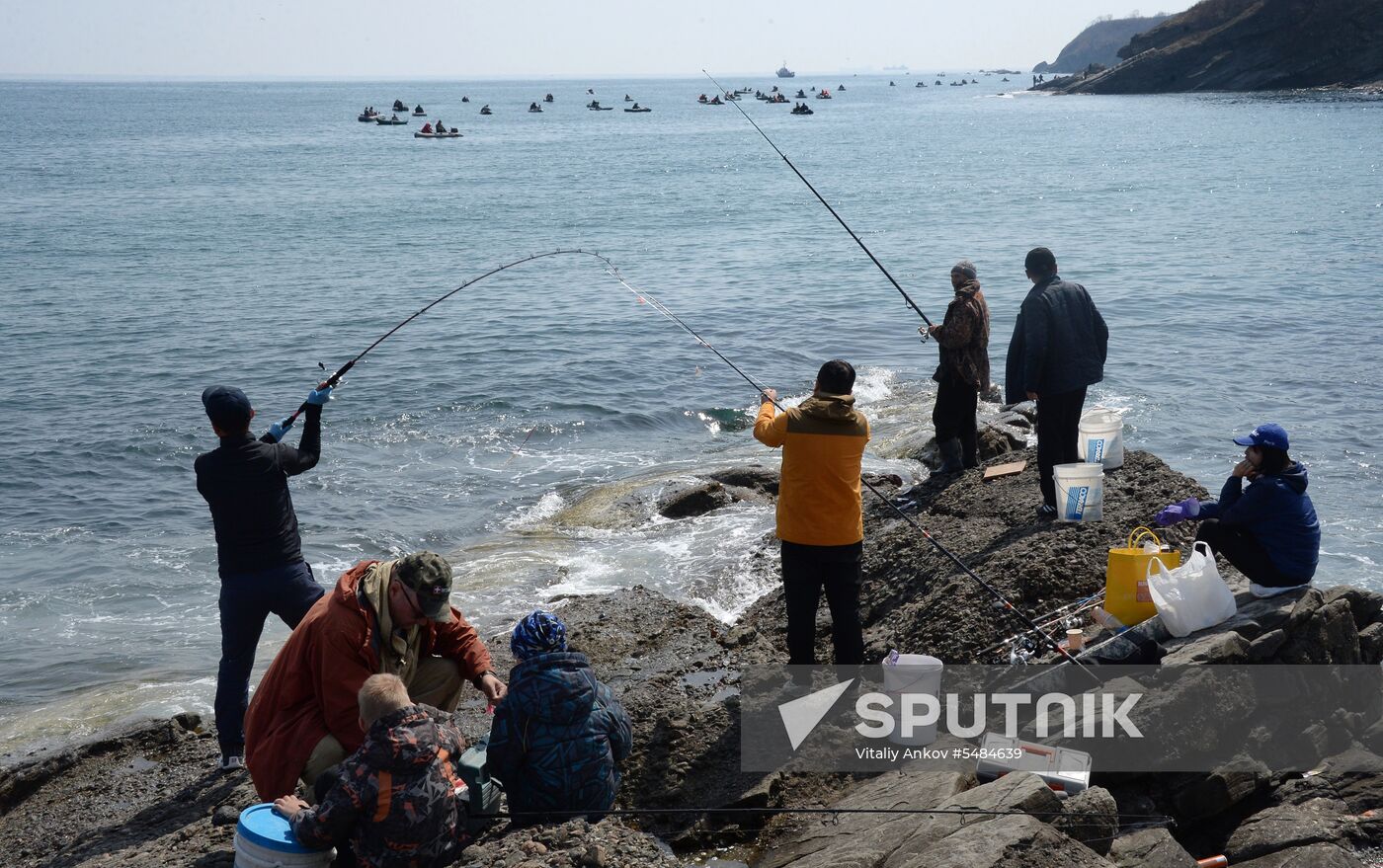 Walleye pollock fishing in Primorye