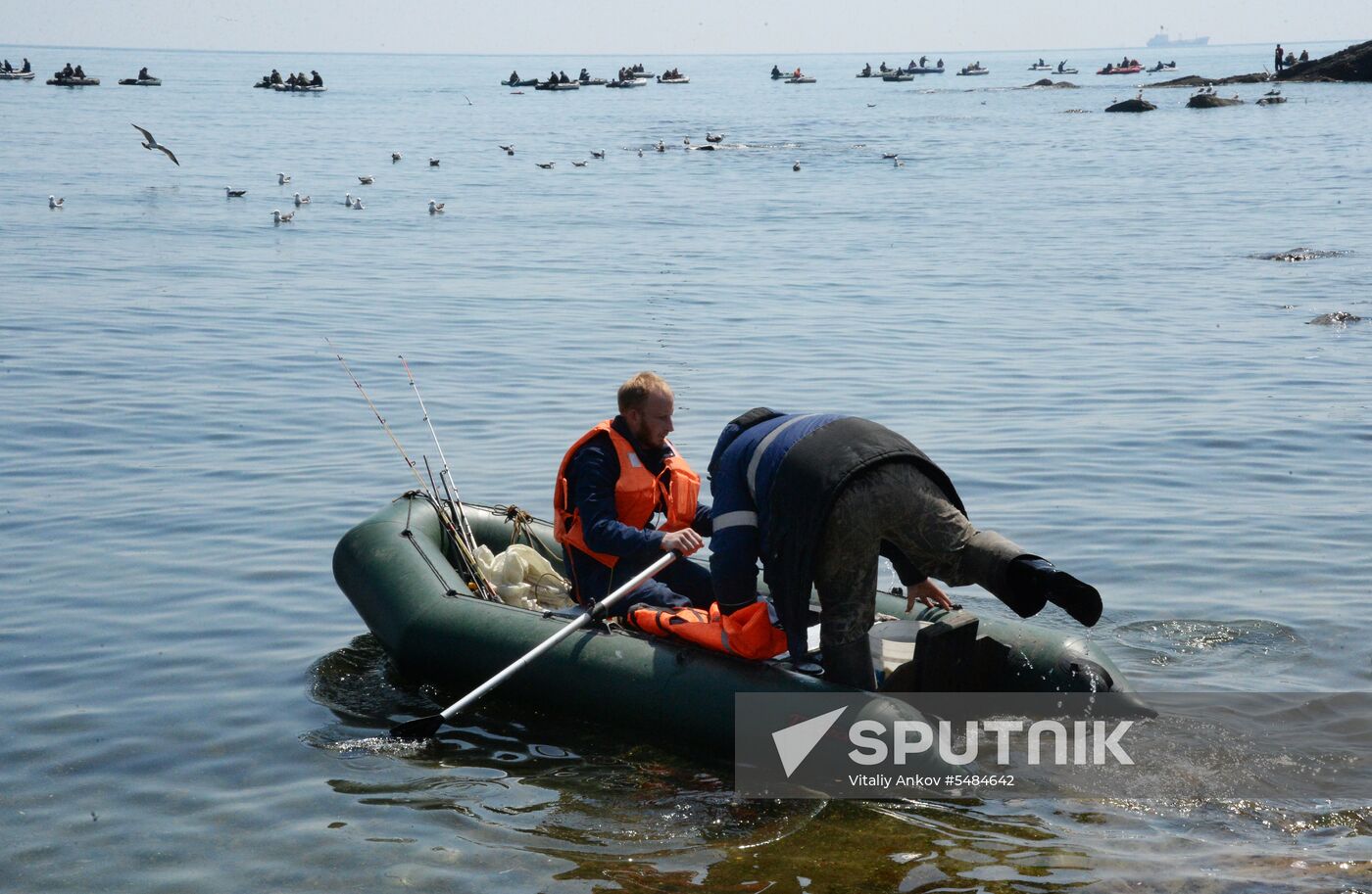 Walleye pollock fishing in Primorye