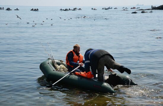 Walleye pollock fishing in Primorye