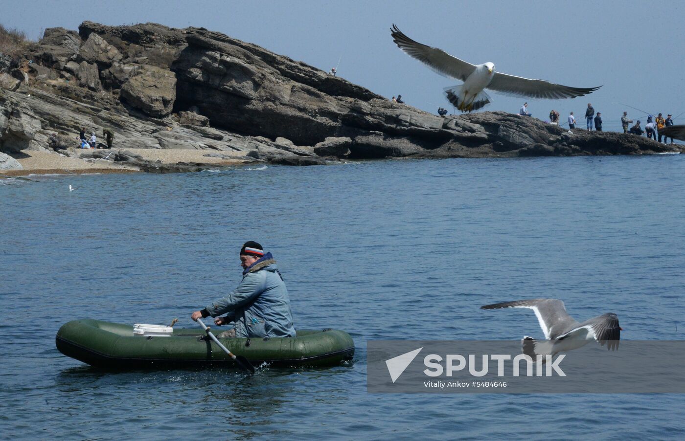 Walleye pollock fishing in Primorye