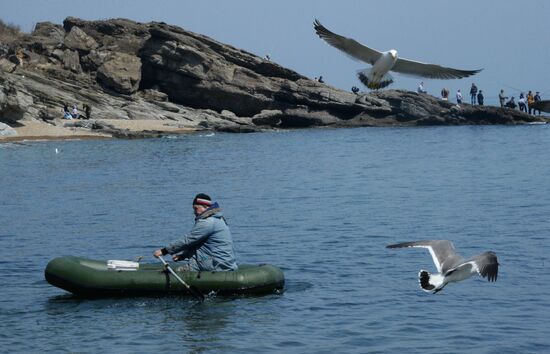 Walleye pollock fishing in Primorye