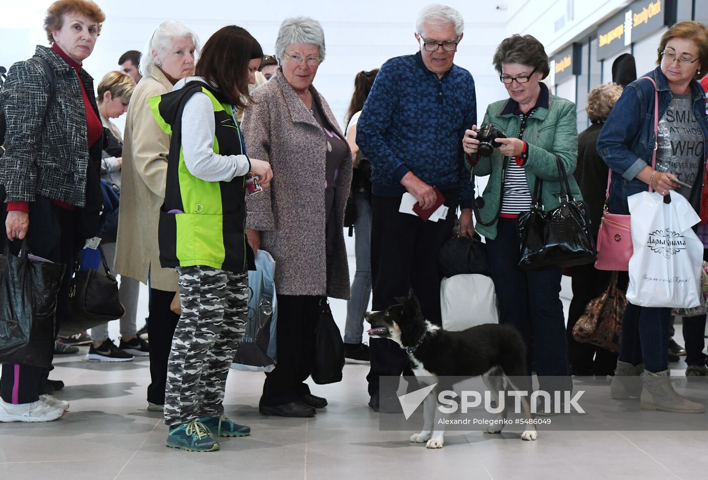 Puppy Alisa becomes mascot of Simferopol Airport's new terminal