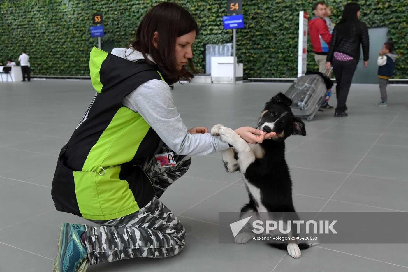 Puppy Alisa becomes mascot of Simferopol Airport's new terminal