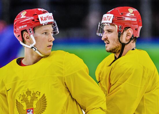 Ice hockey. World Championships. Russian national team's training session