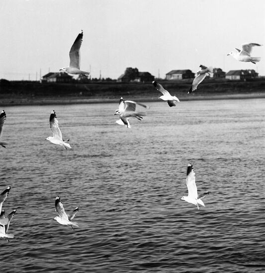 Northern Dvina River