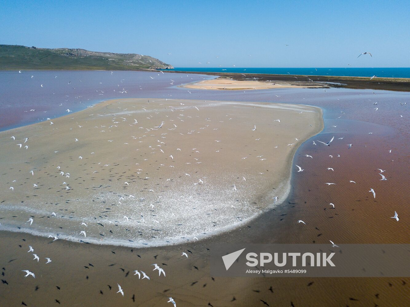 Vacation in Crimea