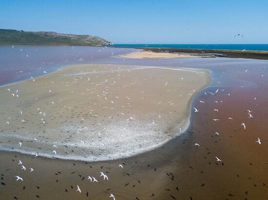Vacation in Crimea