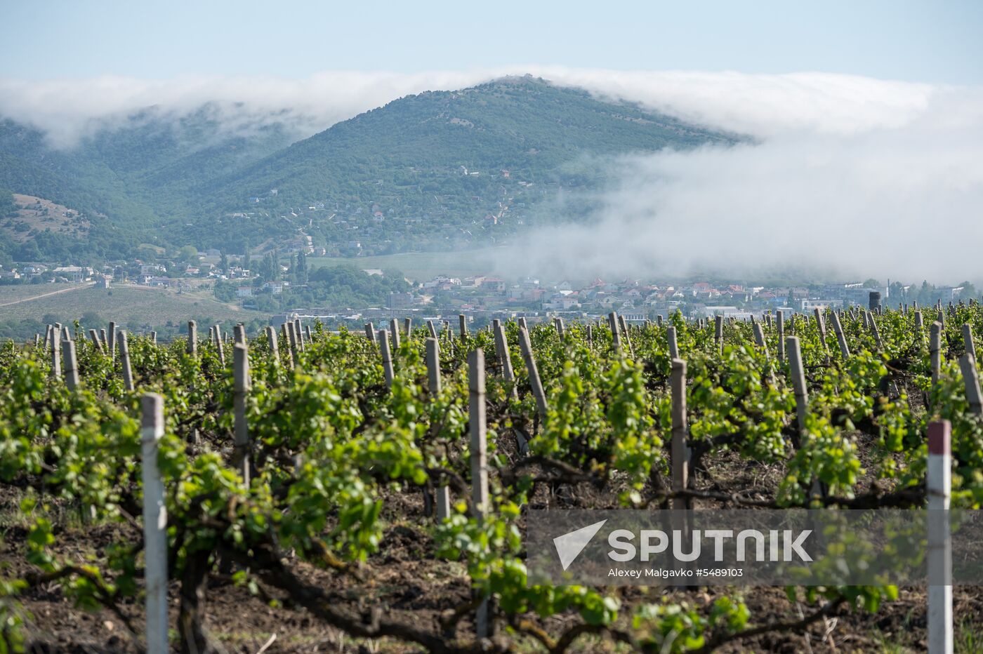 Vacation in Crimea