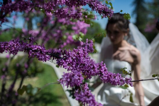 Vacation in Crimea