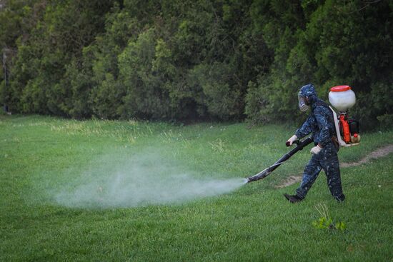 Spring treatment for mites in Stavropol Territory