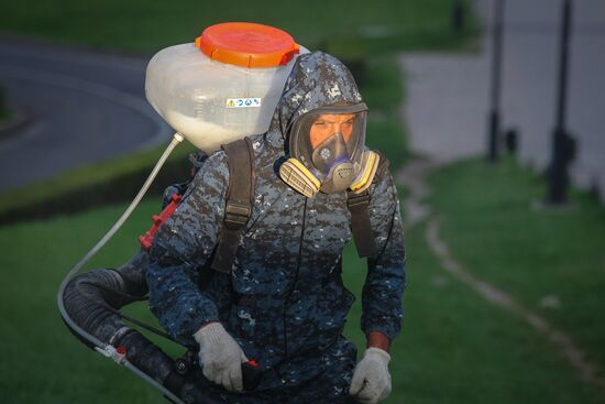 Spring treatment for mites in Stavropol Territory